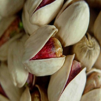 خرید پسته کله قوچی شور + قیمت فروش استثنایی